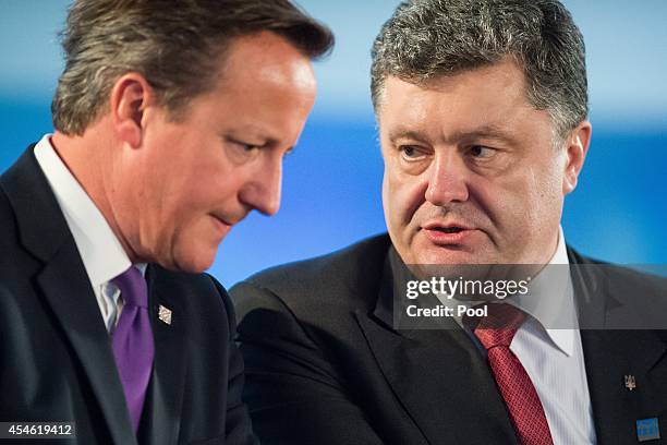 British Prime Minister David Cameron talks with Ukrainian President Petro Poroshenko during a working session on Ukraine on the first day of the NATO...