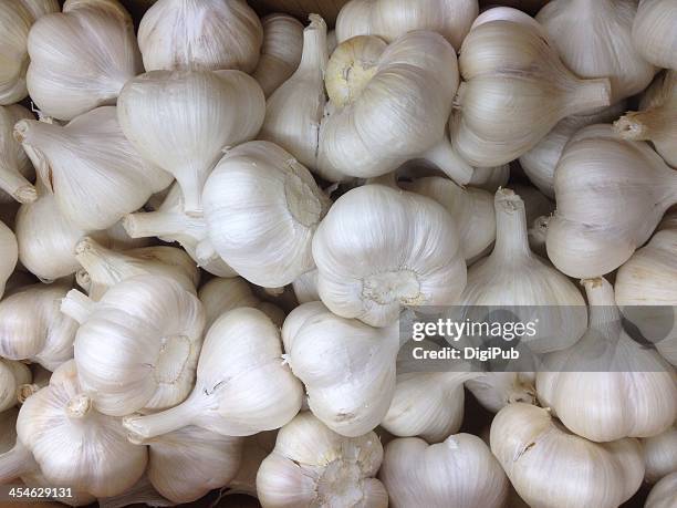 garlic - garlic stock-fotos und bilder