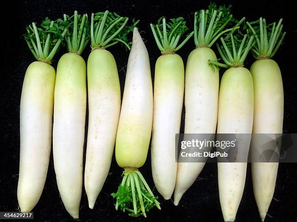 daikon radish - rábano grande japonés fotografías e imágenes de stock