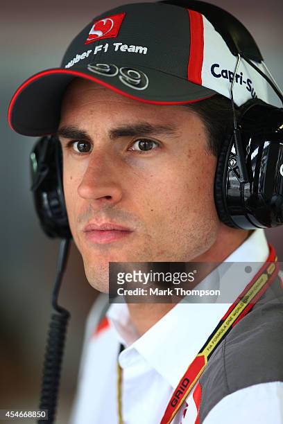 Adrian Sutil of Germany and Sauber F1 looks on from the team garage during Practice ahead of the F1 Grand Prix of Italy at Autodromo di Monza on...
