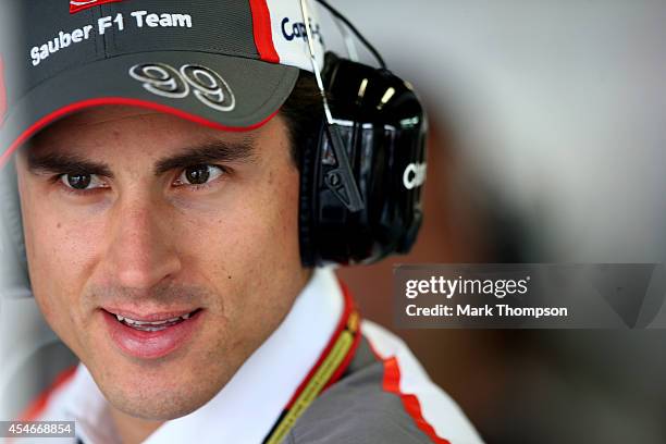 Adrian Sutil of Germany and Sauber F1 looks on from the team garage during Practice ahead of the F1 Grand Prix of Italy at Autodromo di Monza on...