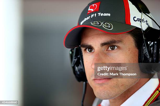 Adrian Sutil of Germany and Sauber F1 looks on from the team garage during Practice ahead of the F1 Grand Prix of Italy at Autodromo di Monza on...