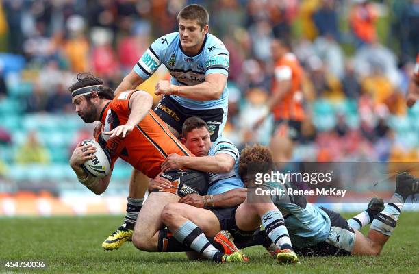 Aaron Woods of the Tigers is tackled by Blake Ayshford, Scott Sorensen and Sione Maima of the Sharks during the round 26 NRL match between the Wests...