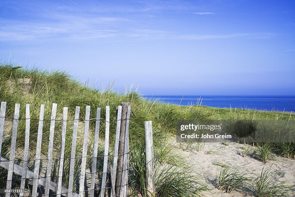 Lush dune grass leading to the ocean at Cape Cod National...