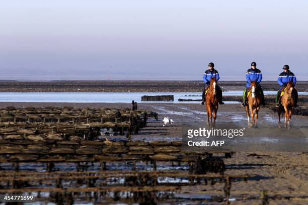 Horse mounted policemen patrol oyster cultures to protect them from thieves on December 10, 2013 in Géfosse-Fontenay, northwestern France. AFP...