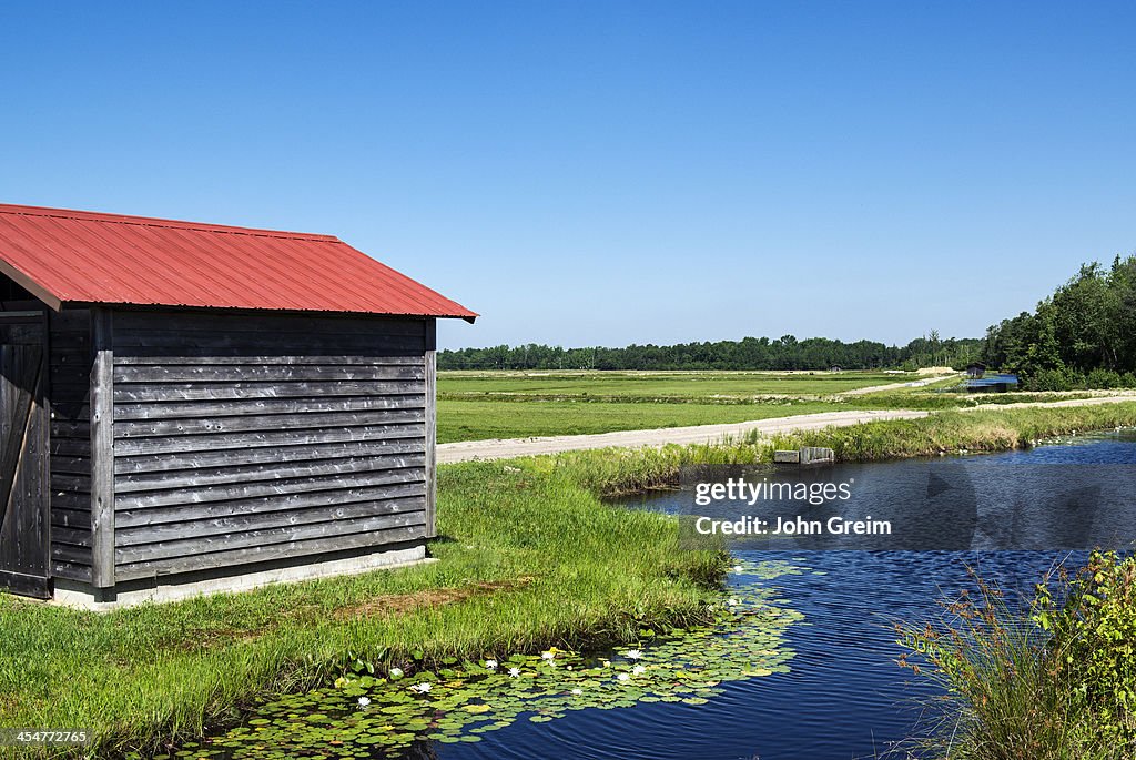 Cranberry bog pump house and irrigation system...