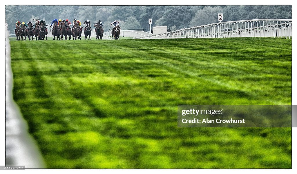 Ascot Races - An Alternative View