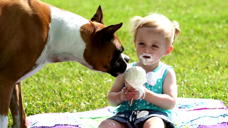 121,435 Funny Videos and HD Footage - Getty Images 121,435 Funny Videos and HD Footage - Getty Images