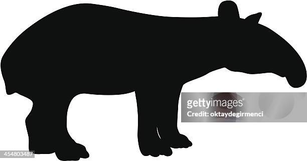 ilustraciones, imágenes clip art, dibujos animados e iconos de stock de oso hormiguero - anteater