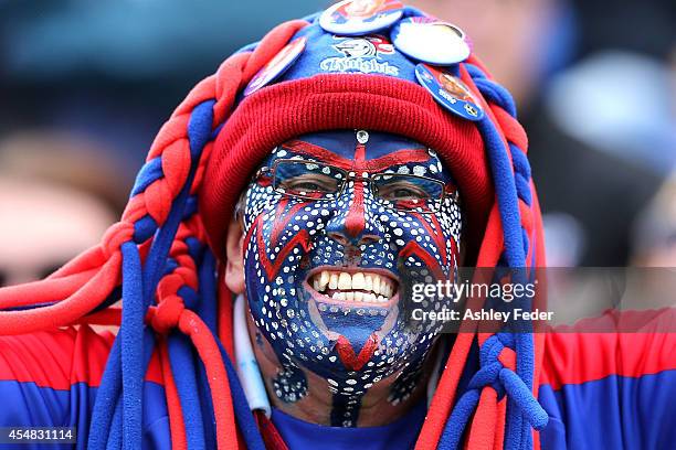 Knights fan shows their support during the round 26 NRL match between the Newcastle Knights and the St George Illawarra Dragons at Hunter Stadium on...