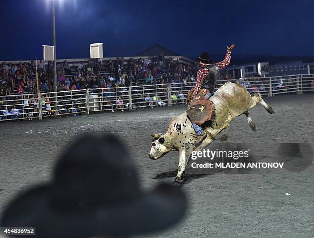Bull Riding Ranch 64 Bull Riding Bar Stock Photos, High-Res Pictures, and Images - Getty ...