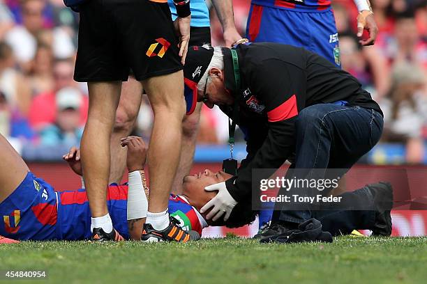 Joey Leilua of the Knights is treated on field during the round 26 NRL match between the Newcastle Knights and the St George Illawarra Dragons at...