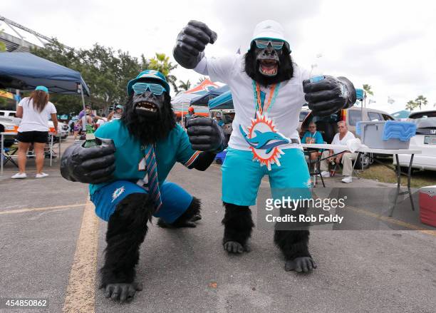 Miami Dolphins fans demonstrate their support before the Dolphins met the New England Patriots in a game at Sun Life Stadium on September 7, 2014 in...