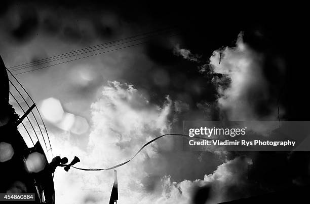 Evan Short 1,546 Evan Trophy Photos & High Res Pictures - Getty Images