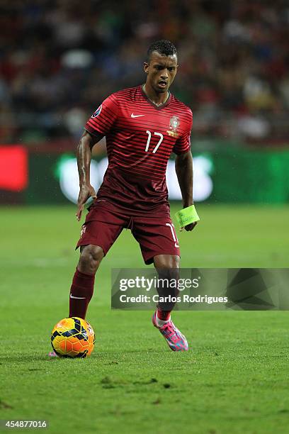 Portugal forward Nani during the EURO 2016 qualification match between Portugal and Albania at Estadio de Aveiro on September 7, 2014 in Aveiro,...
