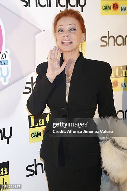 Paloma San Basilio attends Shangay Magazine 20th Anniversary in Madrid at teatro Nuevo Alcala on December 10, 2013 in Madrid, Spain.