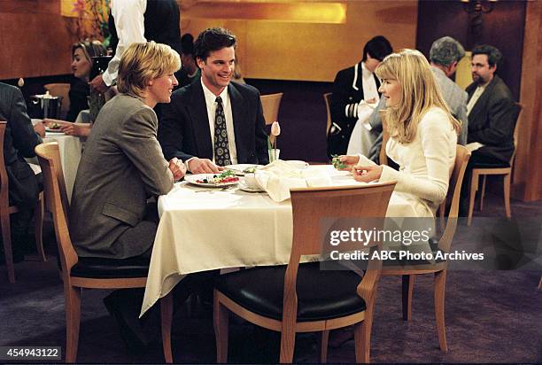 The Puppy Episode" - Airdate: April 30, 1997. ELLEN DEGENERES;STEVEN ECKHOLDT;LAURA DERN