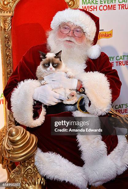 Santa Claus and Grumpy Cat attend the Celebrity Internet Cat Super Group holiday event at Capitol Records Tower on December 10, 2013 in Los Angeles,...