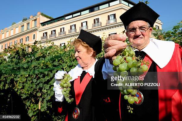 Members of the delegation from the French city of Narbonne in the region of the Languedoc attend the harvest of the vineyard in the French convent of...