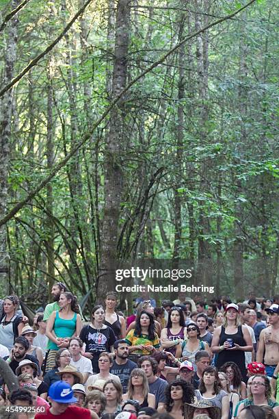 Oregon Forrest Rave 308 Natalie Forrest Photos & High Res Pictures - Getty Images