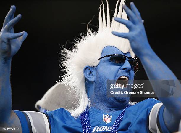 Detroit Lions fan reacts after a second quarter touch down while playing the New York Giants at Ford Field on September 8, 2014 in Detroit, Michigan.