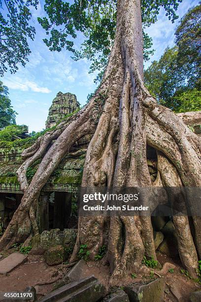 Ta Prohm is the modern name of what was originally called Rajavihar. Built in the Bayon style in the late 12th century Ta Prohm was founded as a...