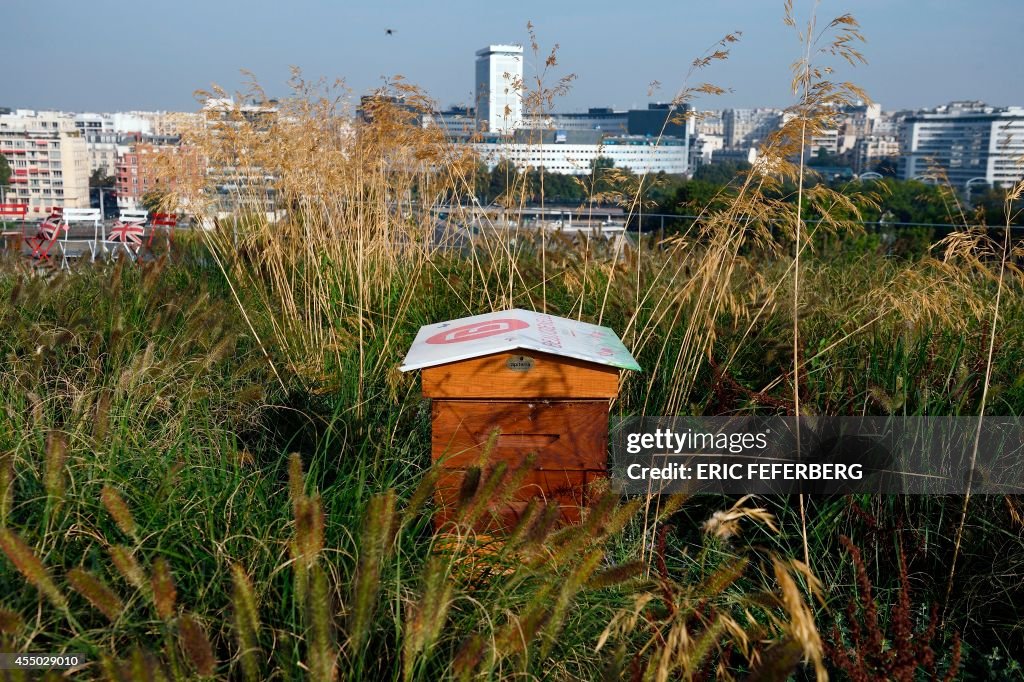 FRANCE-APICULTURE