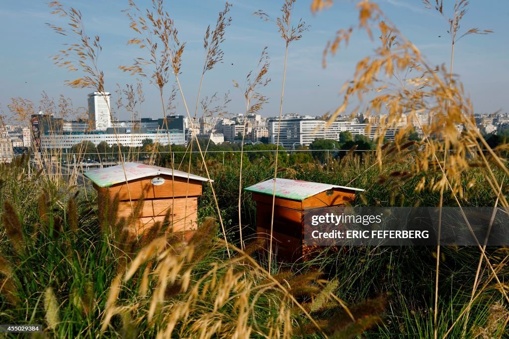 FRANCE-APICULTURE