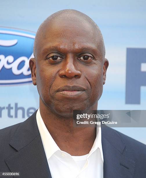 Actor Andre Braugher arrives at the 2014 FOX Fall Eco-Casino Party at The Bungalow on September 8, 2014 in Santa Monica, California.