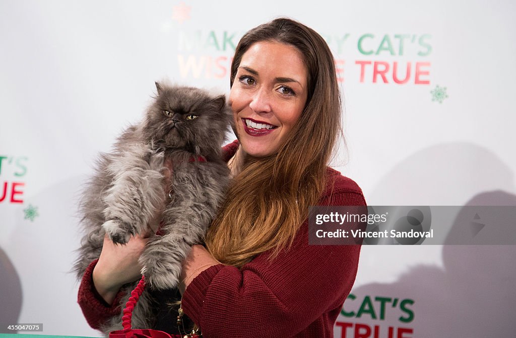 Internet Cat Super Group Holiday Unveiling Event
