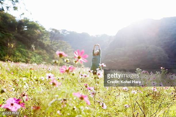 a pregnant woman in flower fields - cosmos flower stock-fotos und bilder