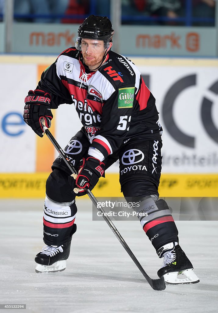 Koelner Haie - action shot