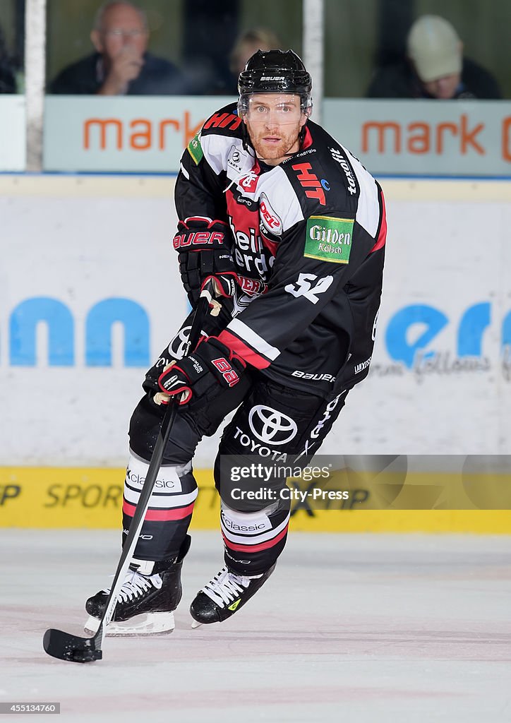 Koelner Haie - action shot