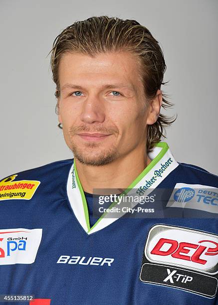 Rene Roethke of Straubing Tigersvon Straubing Tigers during the portrait shot on august 15, 2014 in Straubing, Germany.