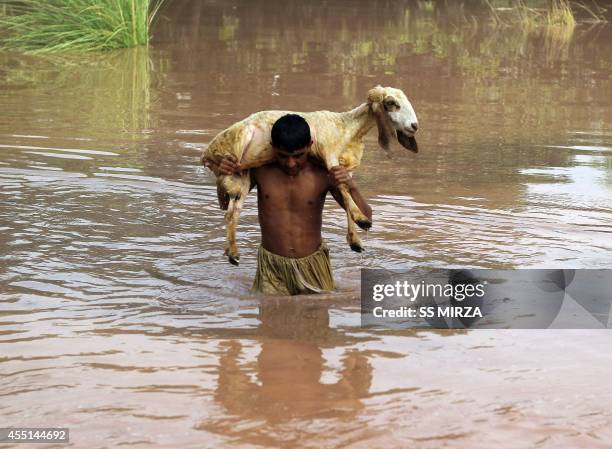 Pakistani man carries a sheep on his back as he wades through floodwater at a village on the outskirts of Multan, in the central Punjab province on...