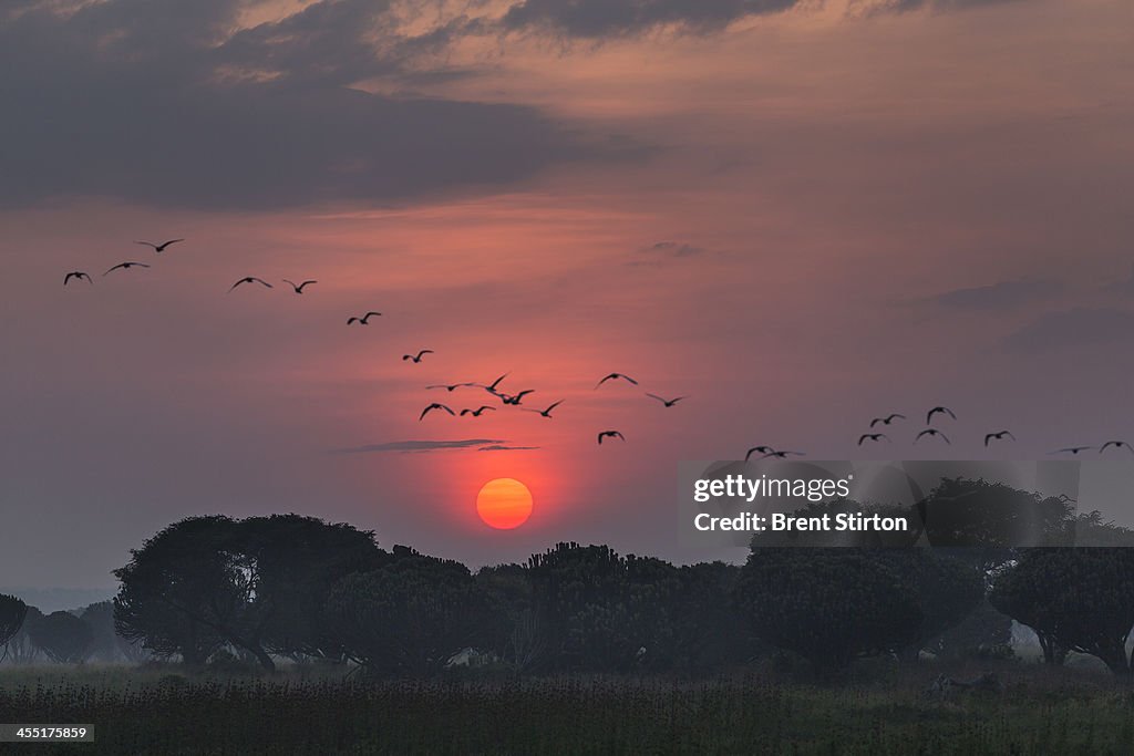 Oil Exploratin Threatens Virunga National Park