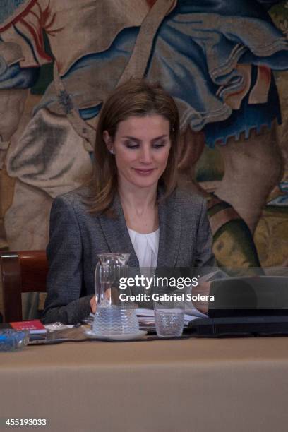 Princess Letizia of Spain attends Board Meeting of The 'Prince De Girona' Foundation at Zarzuela Palace on December 11, 2013 in Madrid, Spain.