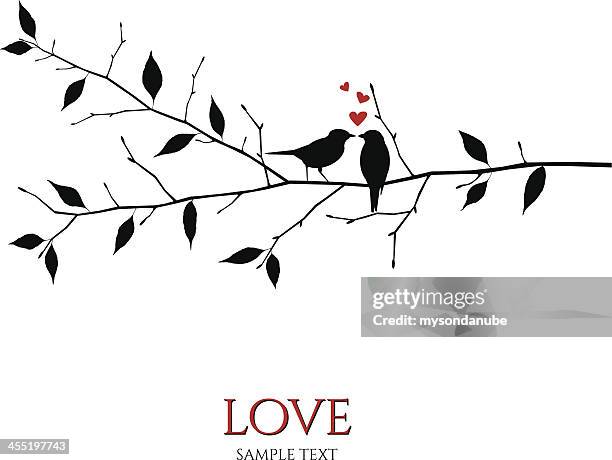 ilustraciones, imágenes clip art, dibujos animados e iconos de stock de vector birds en derivación concepto de amor y el romance - group of animals
