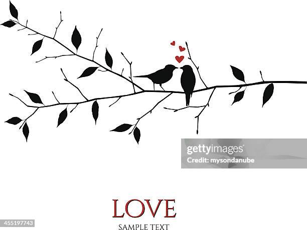 ilustraciones, imágenes clip art, dibujos animados e iconos de stock de vector birds en derivación concepto de amor y el romance - black couple honeymoon