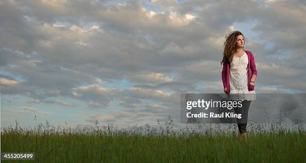 horizon - arad county romania stock pictures, royalty-free photos & images