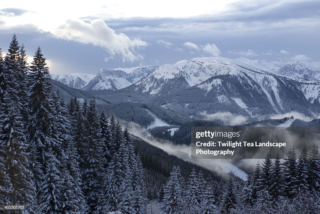 Near Niederalpl in Austria