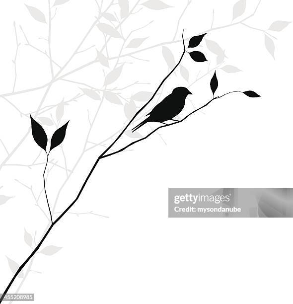 vector bird on branch illustration - focus on shadow stock illustrations