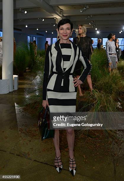 Amy Fine Collins attends the Hanley Mellon Spring 2015 Collection at Hudson Mercantile on September 10, 2014 in New York City.