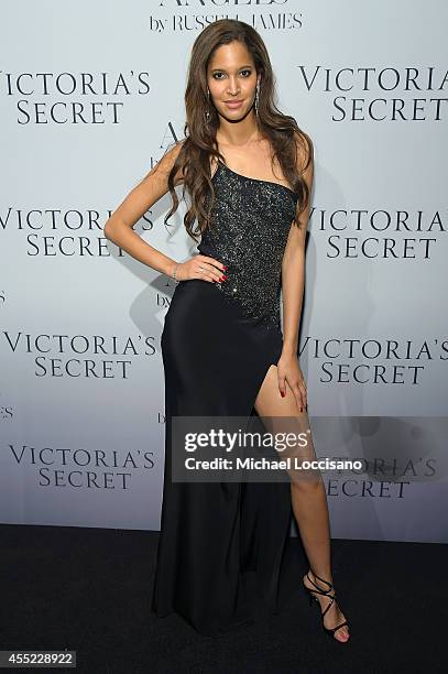 Model Keir Alexa attends Russell James' "Angels" book launch hosted by Victoria's Secret on September 10, 2014 in New York City.