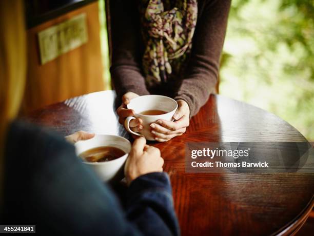 two women having tea at table in cabin - tea cup stock pictures, royalty-free photos & images