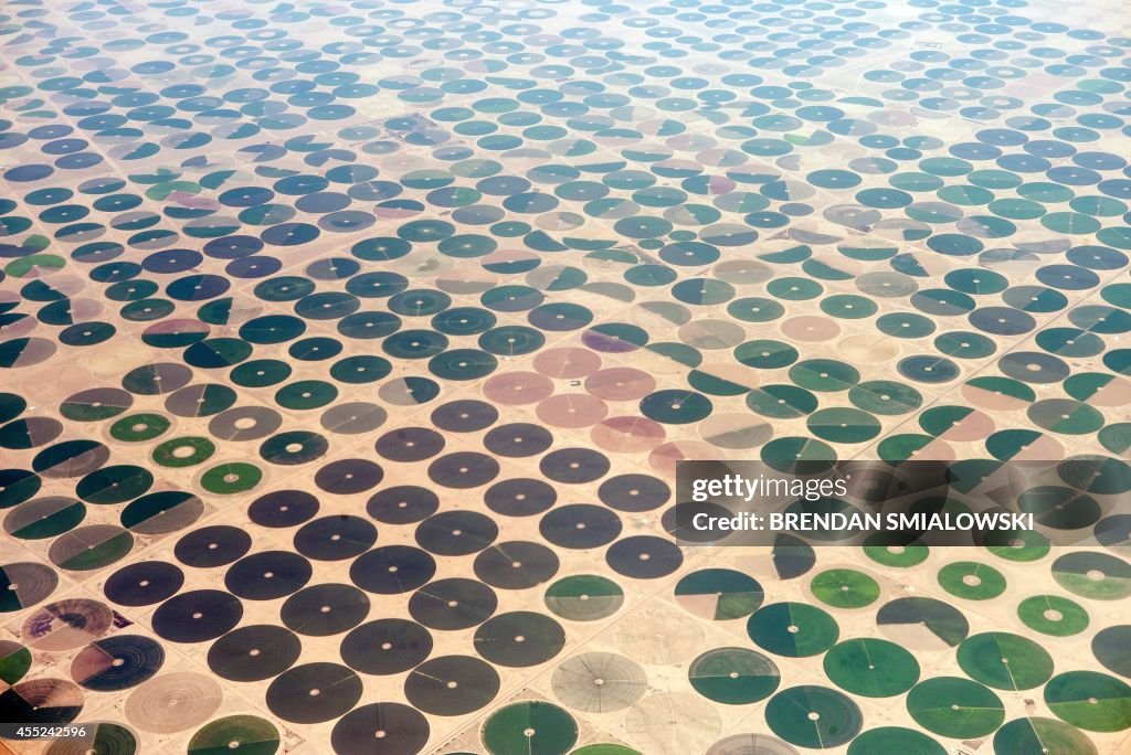 TOPSHOT-SAUDI-FEATURE-FARM