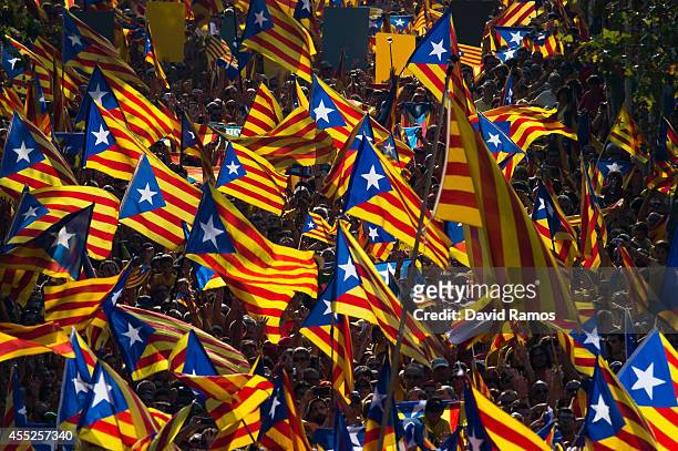 Demonstrators wave Pro-Independence Catalan flags during a demonstration as part of the celebrations of the National Day of Catalonia on September...