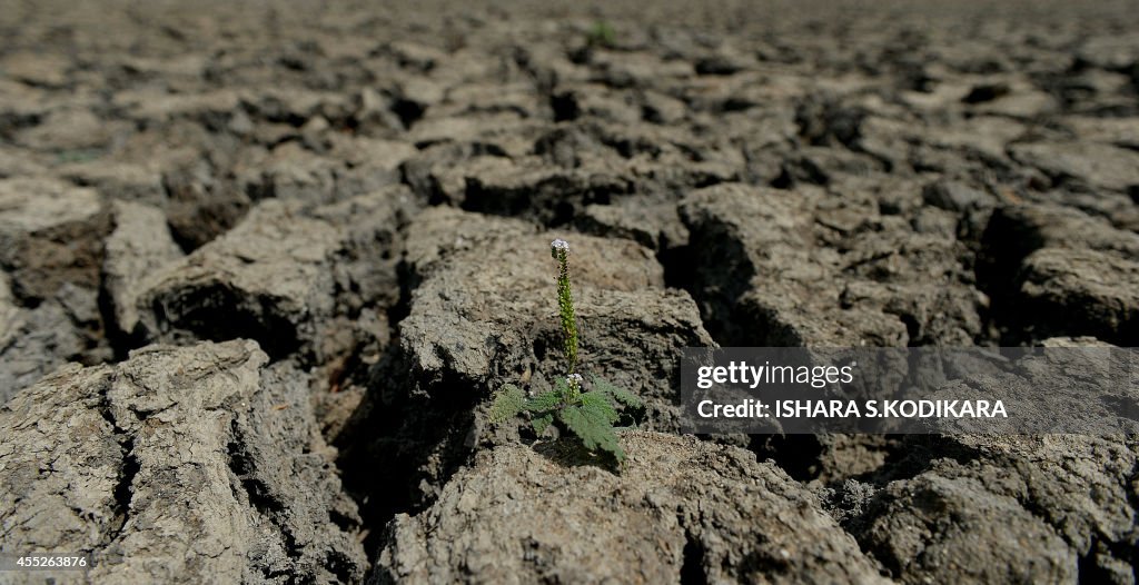 SRI-LANKA-ENVIRONMENT-DROUGHT