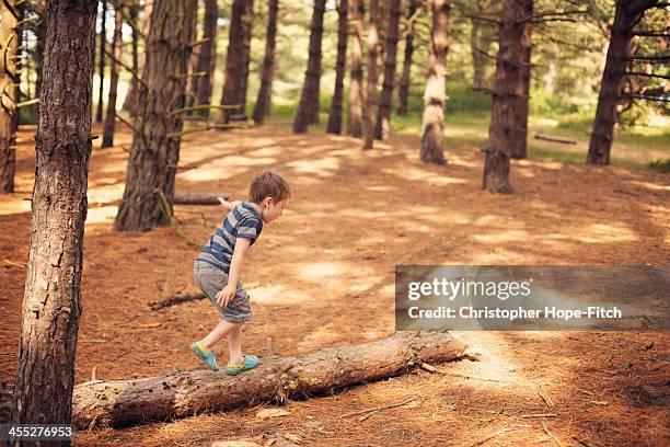Tree Walkboy Kids Walking Across Log Photos and Premium High Res Pictures - Getty Images