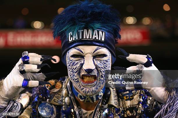Cats fan show his support during the AFL 2nd Semi Final match between the Geelong Cats and the North Melbourne Kangaroos at the Melbourne Cricket...